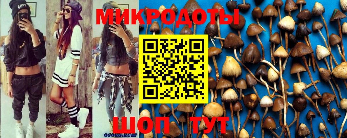 Костомукша  Галлюциногенные грибы MAGIC MUSHROOMS  Вход с VPN  Галлюциногенные грибы Psilocybe 
