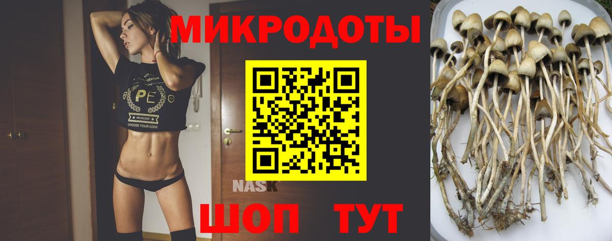 Галлюциногенные грибы GOLDEN TEACHER Костомукша